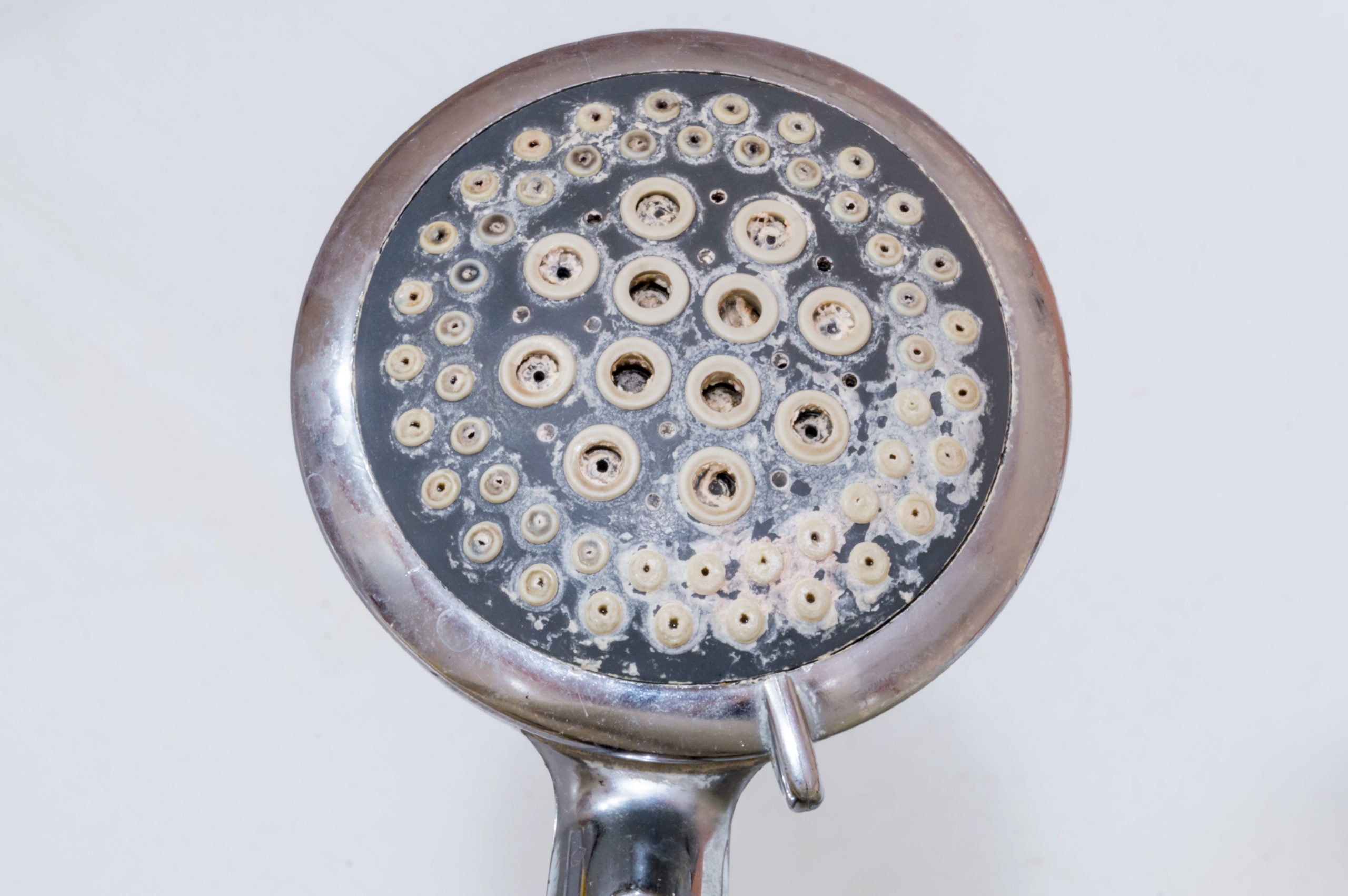how to clean a shower head