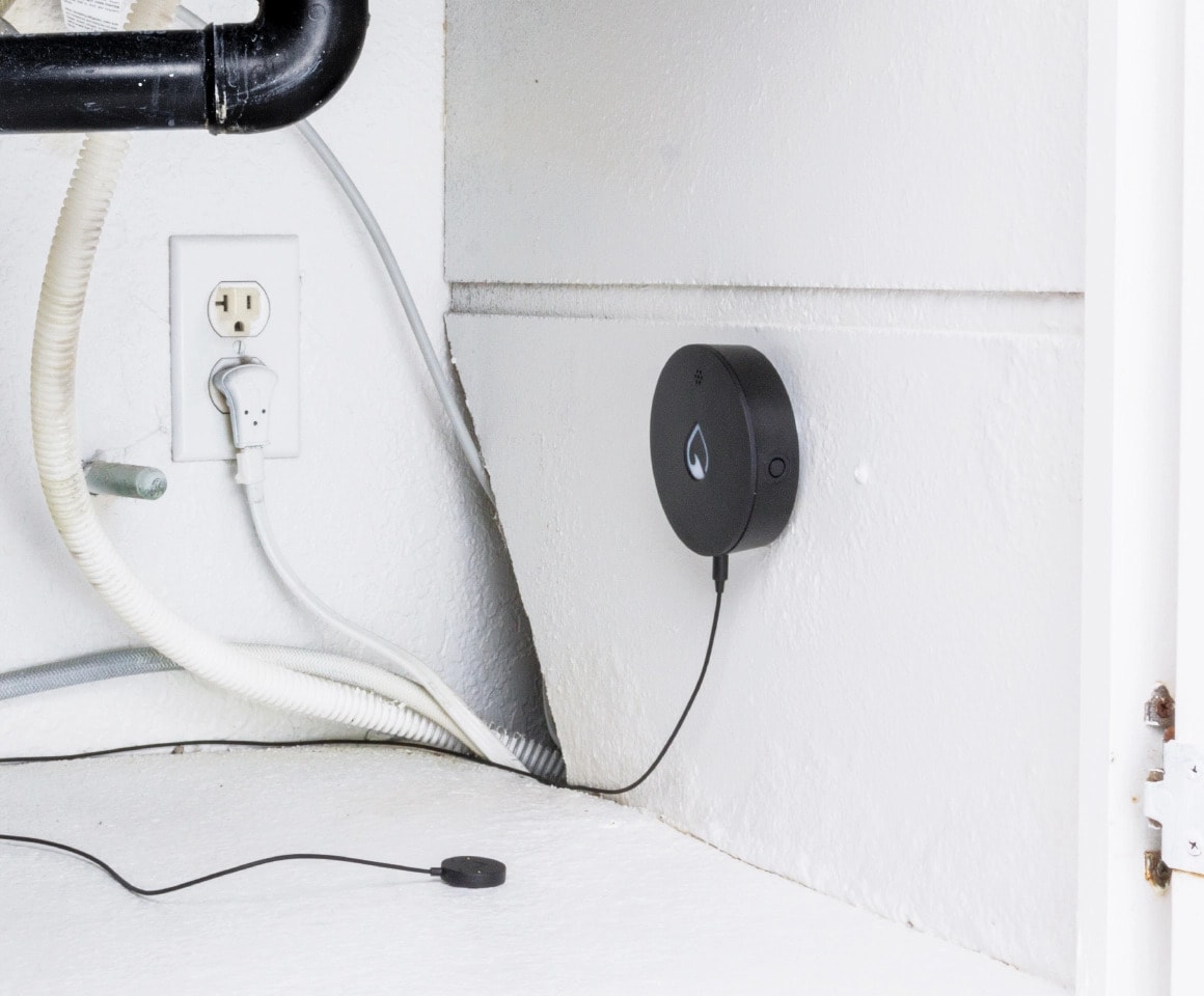 water leak detector phyn