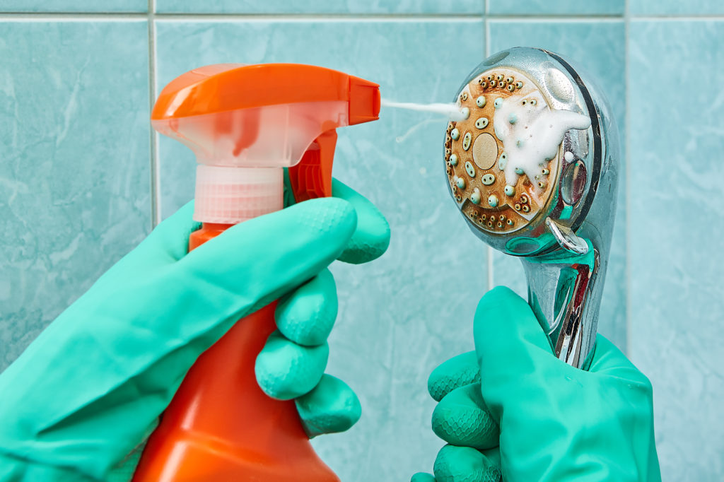 best ways to clean a shower head