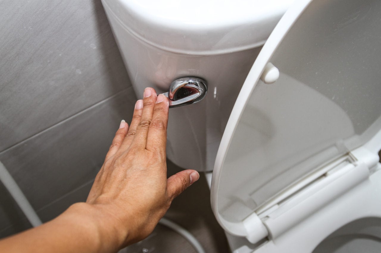 common plumbing problems flushing toilet