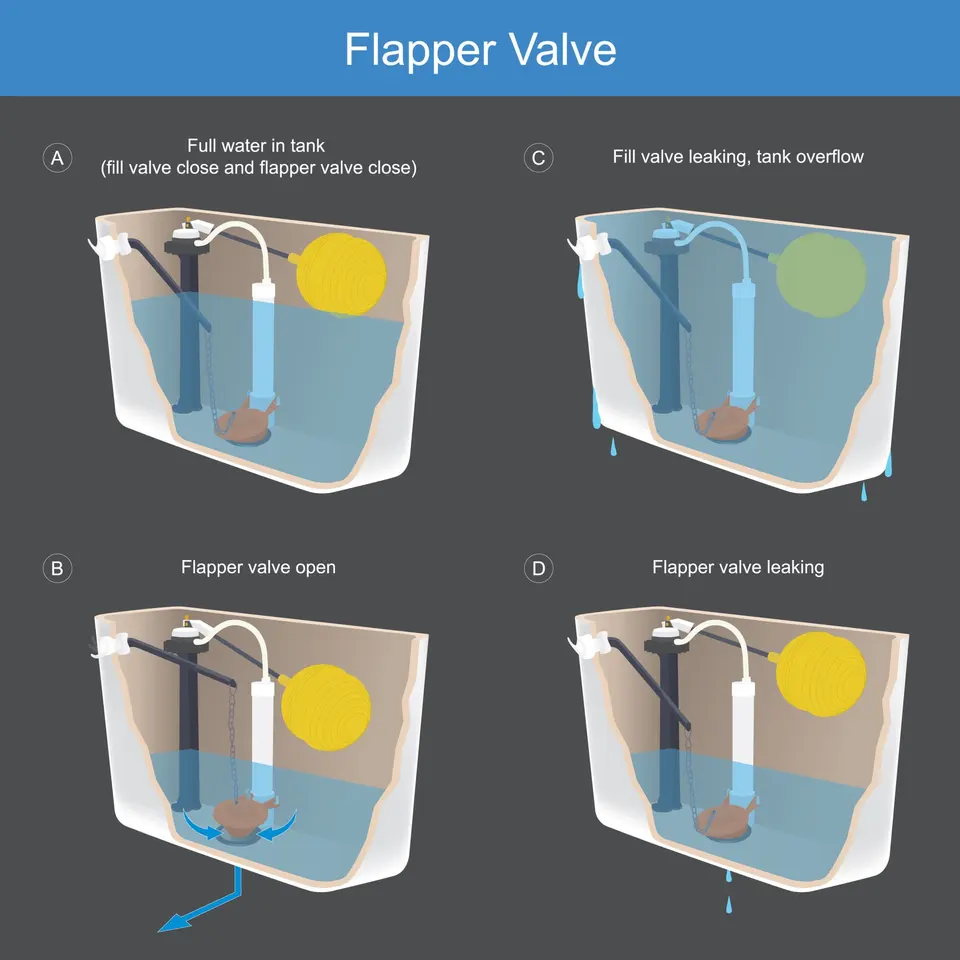 infographic of a flapper valve which could be a reason your toilet wont stop running