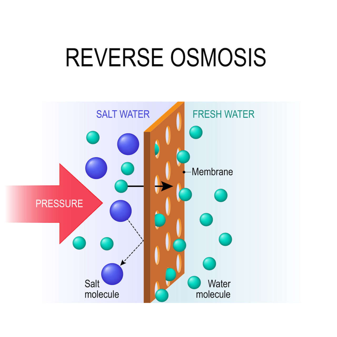 Reverse Osmosis What Is It, How It Works, & Should You Have It