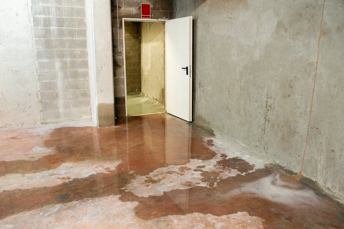 basement with water on floor